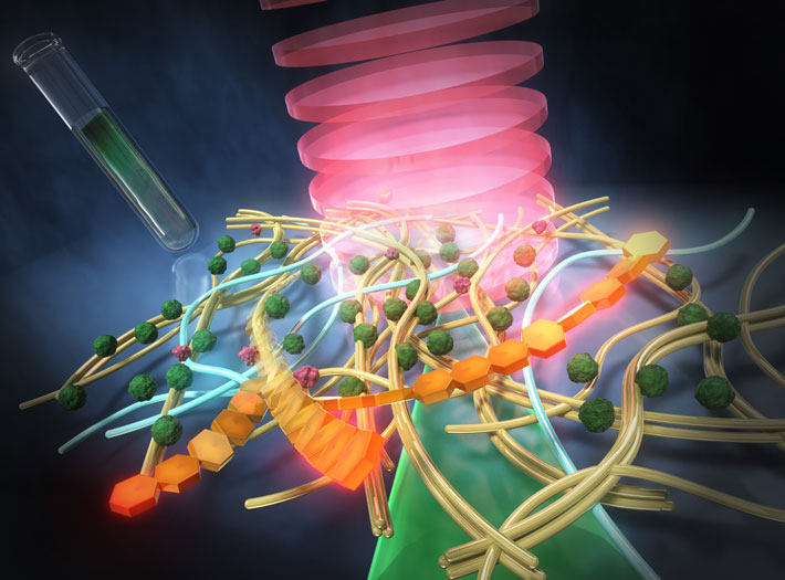 図1 超解像赤外分光イメージングによるバイオフィルム内の分子組成の可視化