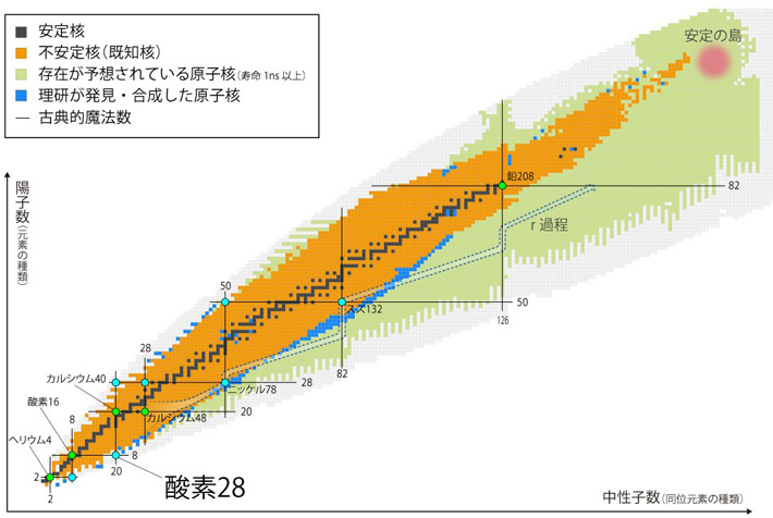 図1. 横軸を中性子数、縦軸を陽子数でプロットした原子核の地図で核図表と呼ばれる。1つの四角が1種類の原子核を表し、黒い四角は天然に存在する原子核（安定核）、オレンジ色、青色の領域はこれまでに観測されたことのある不安定核、緑色の領域は限界線（ドリップライン）の内側にある寿命が長いと予測されている束縛した不安定核を示す。限界線の外側には寿命の極めて短い不安定核が存在しうるが、今回観測された酸素同位体を含めて、ほとんどわかっていない。古典的魔法数の陽子数・中性子数を直線で表しており、その交差点が二重魔法数核である。二重魔法数核の数は非常に限られていることがわかる。鉄を超える重い元素の合成は爆発的な天体現象（中性子星合体、超新星爆発）で起こるとされ、r過程と呼ばれる。その予想される反応経路は魔法数の影響を受ける。また、超重元素領域には未発見の二重魔法数（陽子数114、中性子数184）のために、より安定化した原子核が存在する可能性があり、安定の島、と呼ばれる。（図出典：理化学研究所仁科加速器科学研究センターウェブサイト）