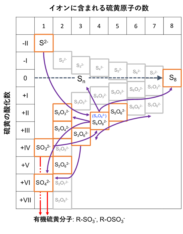 図3 天然に存在する硫黄の化学種と、本研究のイオンクロマトグラフィーと超高分解能質量分析法によって検出されたリュウグウの硫黄化学種(オレンジの枠)。紺の矢印は予想される化学反応経路(矢印)、赤線は無機イオンからこれらの含硫黄有機物へのエステル化などの反応経路、紫色の線は硫黄同素体(S8)に安定化する反応経路を示す。