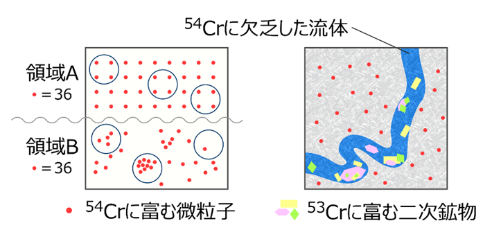 図2. （左）領域Aのように、54Crに富む微粒子（プレソーラー粒子）が均質に分布していると、測定試料（円で表現）に含まれている粒子数は一定であるが、領域Bのように不均質分布していると、試料に含まれる粒子数が変動し、そのことがε54Crのバラツキに反映される。なお、領域AもBも、総粒子数は36個で等しいため、領域全てを測定すれば、ε54Crは同じ値となる。（右）リュウグウ起源天体の水質変成により流体が発生し、岩石中の間隙を細い水脈となって移動し、二次鉱物を沈殿させる。54Crに富む微粒子は流体に溶けないため、流体および二次鉱物は54Crに欠乏し、低いε54Crを持つようになる。一方、二次鉱物はMnに富むため、53Mnの娘核種である53Crに富む。こうして、ミリメートルスケールの局所的不均質が生じたと考えられる。