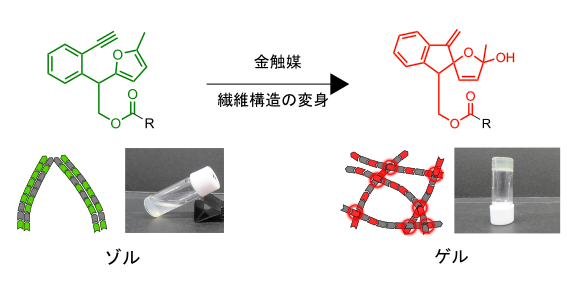 金触媒反応を引き金とするハイドロゲル化