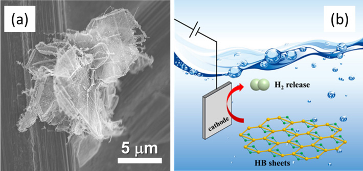 図1. ホウ化水素シートの走査型電子顕微鏡写真（a）と、陰極（cathode）への電位の印加によってホウ化水素シート（HB sheets）の分散体から水素分子（H2）が放出される様子を示す模式図（b）