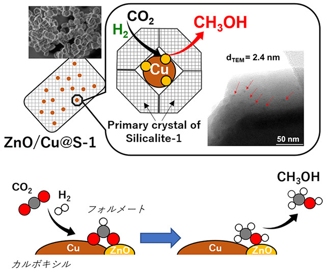 図1 Cu-ZnO触媒:Cu-ZnO界面ではフォルメート種の形成とメタノール生成が優位に進行する。