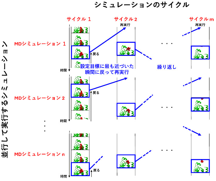 図1. PaCS-MDによって観察したい現象が短時間のシミュレーションで観測される様子を表した概念図。並列にn個のMD計算を行うサイクルをm回繰り返す場合を示している。Gタンパク質共役型受容体(緑)から低分子(赤)が解離していく様子を観察した例。2つの分子間の距離がなるべく長くなった瞬間を複数選び、その時間にさかのぼって少し条件を変えてシミュレーションを再実行することで、解離現象が起こる確率を高めている。