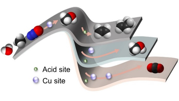 図1 Cuサイトと酸サイトの分布が生成物の選択率に与える影響