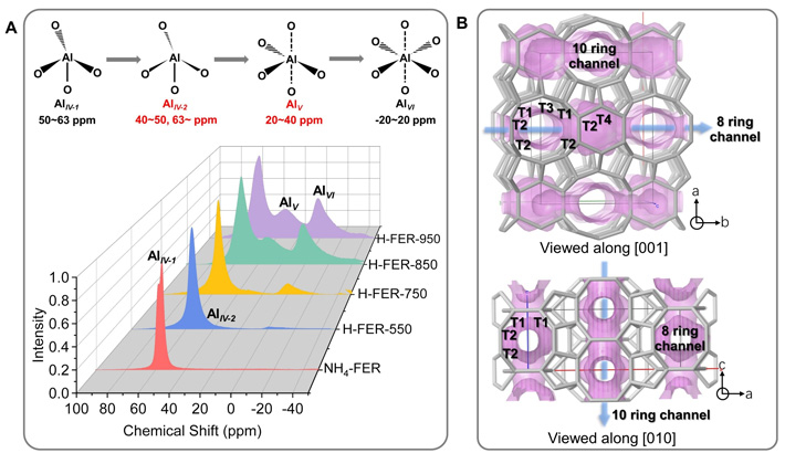 図3. （A）550-950℃で焼成したH-FER-tゼオライトのAl種と27Al MAS NMRスペクトル。 （B）FER型ゼオライトの持つ結晶学的に独立した4つのTサイトの位置と、双方向性多孔質構造の図。