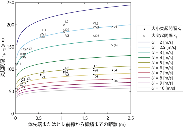 図4 突起間隔の計測結果。実線は、各遊泳速度Uでs+ = 17となる間隔sを表す。 