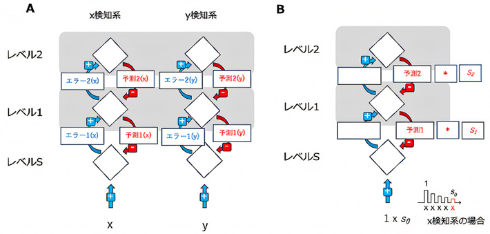図5 階層的予測符号化の計算モデル。 A）モデルはx検知系とy検知系で構成される。B）各レベルにおいて係数S0（感覚入力への順応）、 S1（レベル1の予測の利用率）、S2（レベル2の予測の利用率）を仮定している。
