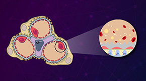 Unraveling the Role of ADGRF5: Insights into Kidney Health and Function