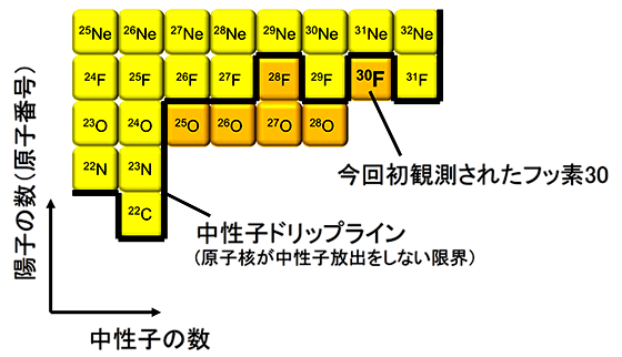 図1. 核図表上のフッ素30(30F)。原子核は中性子ドリップライン（用語7）を超えると寿命が極端に短くなり、特に不安定になる。フッ素30は、中性子ドリップラインを超える中性子過剰核であり、これまで観測が困難であった。