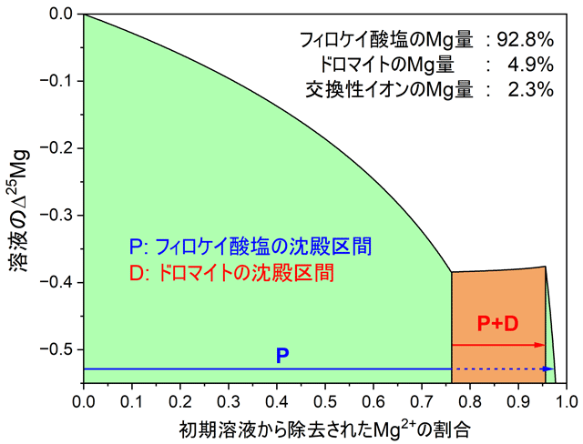 図4. リュウグウに含まれる主要鉱物で、マグネシウムの主なホスト相であるケイ酸（フィロケイ酸塩、P）と炭酸塩（ドロマイト、D）の沈殿順序の記録復元（モデルシミュレーション）。左から右に向かって溶存マグネシウムを材料に鉱物が形成されるが、最初にフィロケイ酸塩としてマグネシウムが沈殿し、オレンジの区間ではドロマイトが同時に沈殿する。計算の制約条件には産業技術総合研究所で測定した炭酸塩鉱物と交換性イオンのマグネシウム同位体比（縦軸）を用いた。