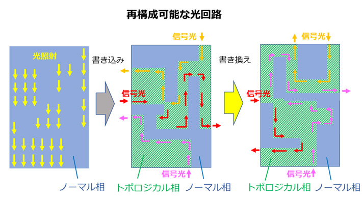図6. 光トポロジカル相転移を利用して将来的に実現が期待できる再構成可能な光回路の概念図