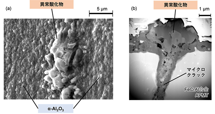 図1 ワイヤー放電加工面に残存したマイクロクラックと酸化処理への影響 (a) 表面像、(b) 断面像