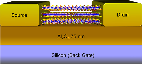 作製したMOSトランジスタ構造
