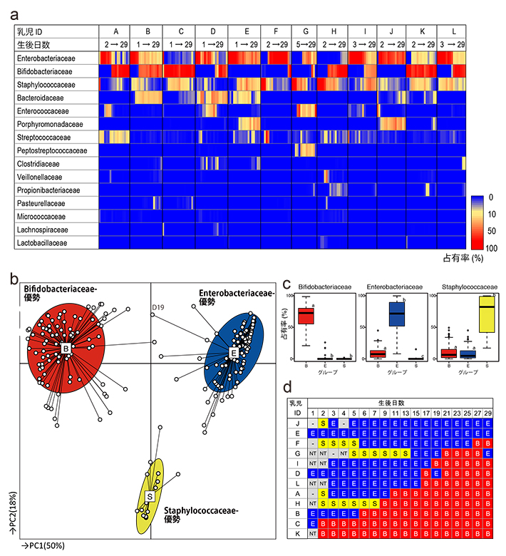 生後1か月間の乳児腸内フローラ構成の変化