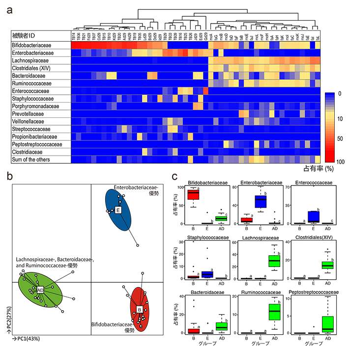 1か月目の乳児（27名）と成人（22名）の腸内フローラ構成の比較