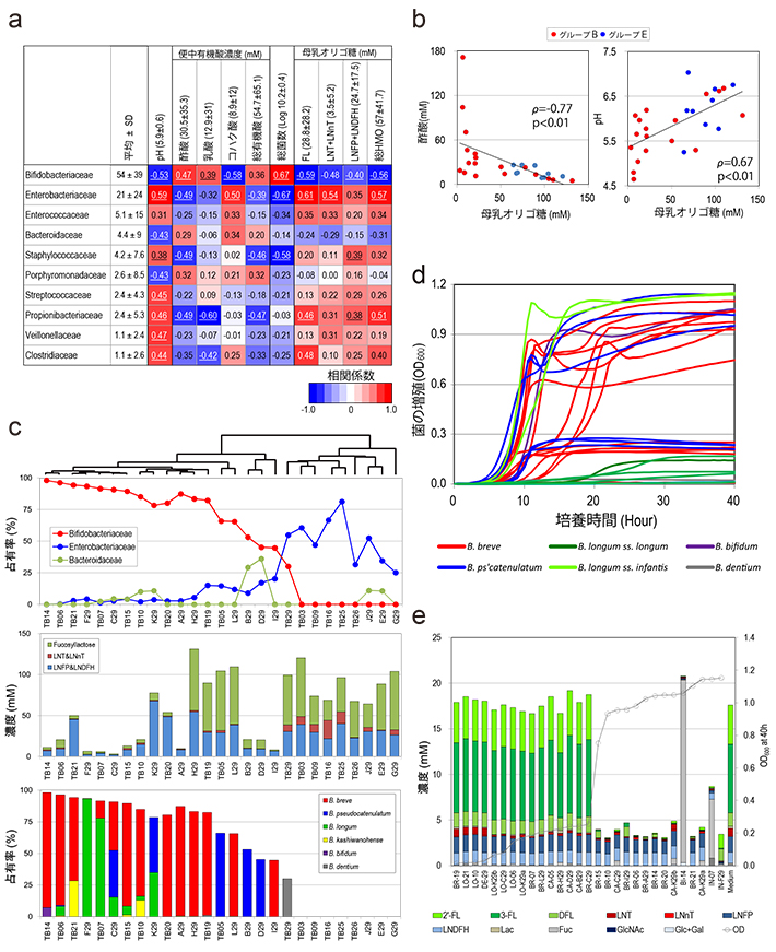 腸内フローラ構成と腸内環境の関連性