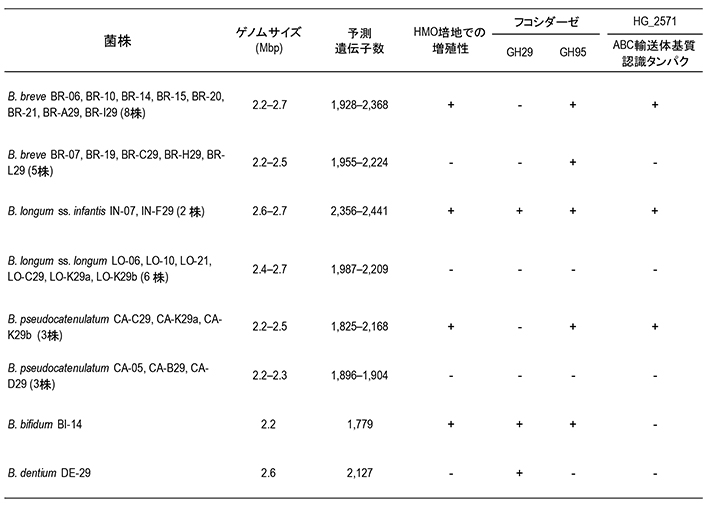 ビフィズス菌29株のドラフトゲノム解析結果の概要