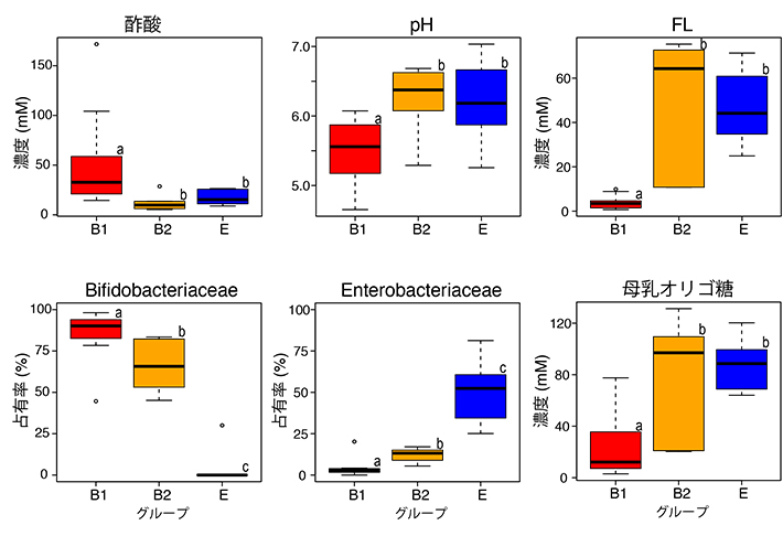 FL利用ビフィズス菌の定着による腸内微生物生態系への影響