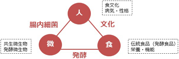 研究のイメージ