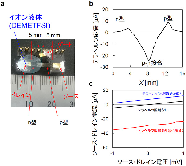 イオン液体によるpn接合カーボンナノチューブデバイス