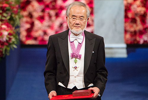 大隅良典栄誉教授 © Nobel Media AB 2016 Photo: Pi Frisk