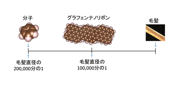 グラフェンナノリボンとそのサイズの比較