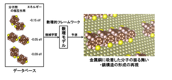 数理的フレームワークでは、分子間相互作用のデータベースを機械学習して数理モデルを築く。そして、数理モデルは「人工知能」を持ち、分子の並び方や鎖構造の形成を再現できた。データベースには、分子間の様々な相互作用の仕方とそれらのエネルギーについての情報が含まれている。eV:エレクトロンボルト(エネルギーの単位)。