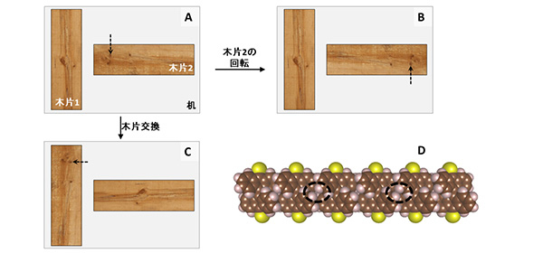 (A-C)机の上に置いた木片で回転・交換の対称性を説明する。点線の矢印は対称性を下げる欠点を示す。(D)数理フレームワークで予想された鎖構造。黒い円(点線)は欠陥を示す。欠陥の導入により対称性が下がり、鎖構造のエントロピーが上がることによって、鎖構造が形成される。