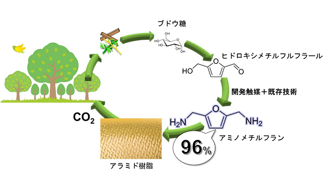 バイオマスからのアラミド樹脂原料の生産