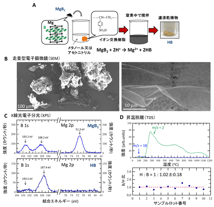 ホウ化水素(HB)シートに関する(A)生成方法の模式図、(B)走査型電子顕微鏡像、(C)X線光電子分光スペクトル、(D)昇温脱離測定結果と算出したB/H比