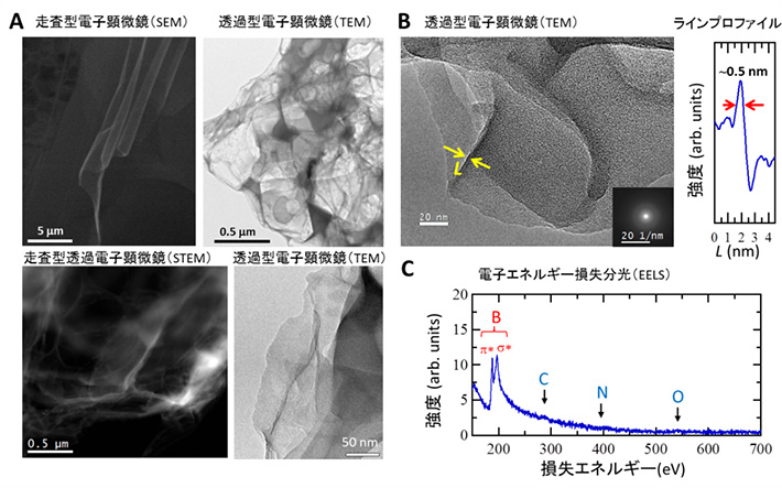 ホウ化水素(HB)シートの(A)走査型電子顕微鏡像、透過型電子顕微鏡像、および走査型透過電子顕微鏡像、(B)透過電子顕微鏡像とラインプロファイル、(C)電子エネルギー損失分光スペクトル