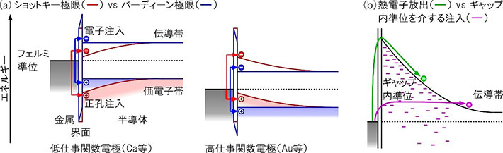 新しい電極の正孔と電子の注入機構。(a)有機半導体では注入障壁の大きさが電極の仕事関数に依存する(ショットキー極限)傾向にあるが、新しい電極ではギャップ内準位の増加によりフェルミ準位のピン止めが強くなるため、注入障壁が電極材料に依存しないバーディーン極限に近づく。(b)多結晶有機半導体層中に生じるバンドギャップ内準位を介した注入により、ショットキー障壁を乗り越える熱電子放出機構より注入障壁が小さくなる。