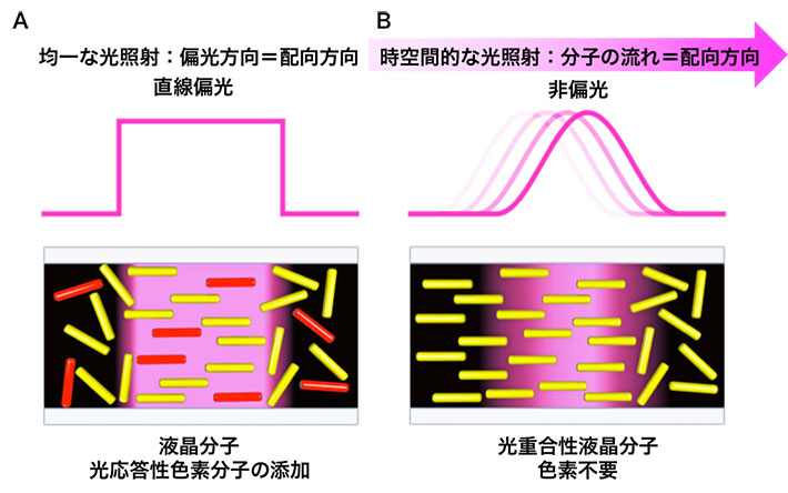 (A)既存の光配向法では、色素分子を添加した液晶系へ強度分布が均一な偏光を照射することで、分子配向を誘起する。(B)新たに開発した動的光重合では、動く光の照射により材料中に定常的な分子の拡散と流動を誘起し、その流れに従って分子配向を誘起する。