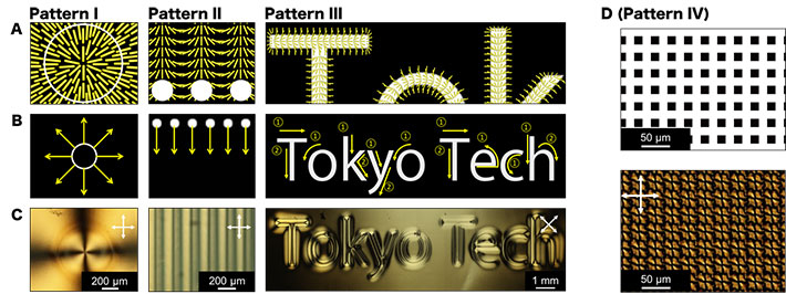動的光重合により形成した多種多様な配向パターン例。(A)設計した分子配向パターン、(B)動く光の照射パターン、(C)作製した高分子フィルムの偏光顕微鏡観察結果。(D)アレイ放射状配向を作製するための光照射パターン(上)と偏光顕微鏡観察結果(下)。