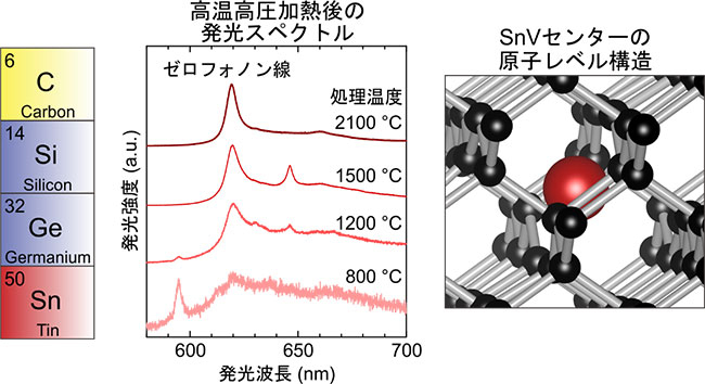 ダイヤモンド中のSnVセンター。(左)IV族元素の周期表。(中央)高温高圧加熱処理後のSnVセンターからの発光スペクトル。(右)SnVセンターの原子レベル構造。赤丸と黒丸はそれぞれスズ原子と炭素原子。