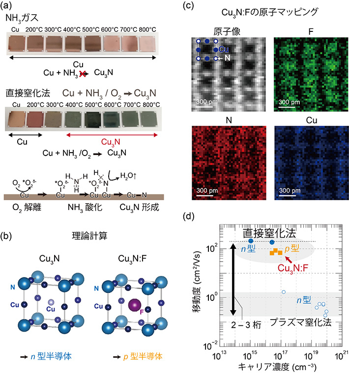 図 (a)NH3/O2ガスを使った銅の直接窒化法とその反応原理(b)第一原理計算による予測。格子の空隙にFが入るとp型半導体、Cuが入るとn型半導体(c)Cu3N:Fの原子マッピング像(緑:F、赤:N、青:Cu)。理論予測通りにF原子は格子の空隙に存在(d)直接窒化法で作製したp型、n型Cu3N薄膜の移動度とキャリア濃度