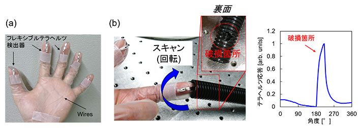 （a）ウェアラブルなテラヘルツ検査デバイス（b）および配管の非破壊検査応用