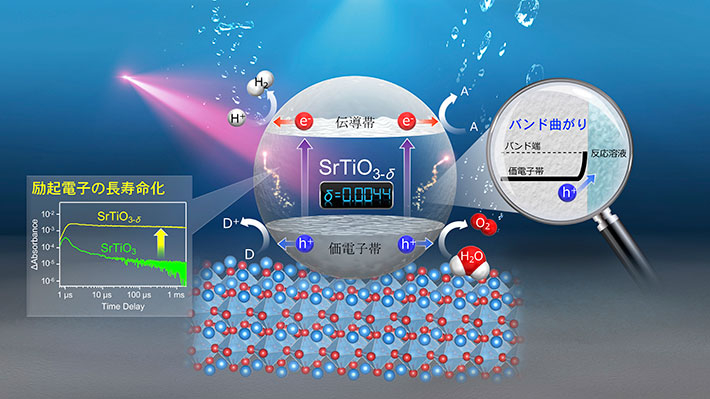 電子ドープした光触媒では、励起した電子の寿命が著しく長くなります(図中左)。また、電子ドープにより表面近傍の半導体におけるバンド曲がりが大きくなります(図中右)。これらの影響により、反応に利用される電子・ホール数が向上し、水素・酸素生成速度が大きくなることが明らかとなりました。