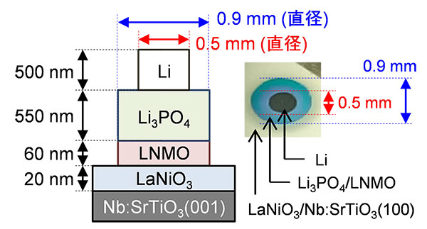 本研究で作製した全固体電池の概略図(左)と写真(右)