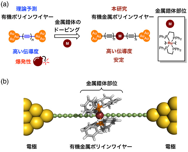 図1. (a)ポリイン分子ワイヤーと有機金属ポリイン分子ワイヤー (b)有機金属ポリインワイヤーのイメージ図