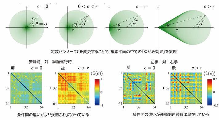 一定のパラメータcを合計することにより、急速に複雑になる関係に従って位相αを角度θにゆがませる（上）。この操作を脳波信号に適用すると、被験者の安静時または手を動かした時、あるいは左手または右手を動かすことを想像した時に、同期の違いがより明確に現れる（下）。