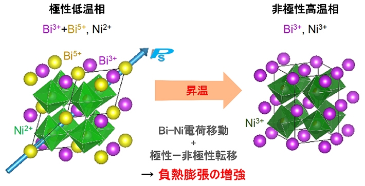 BiNi1-xFexO3の負熱膨張メカニズム。0.20 ≤ x ≤ 0.50では、サイト間電荷移動と極性―非極性転移が同時に起こることにより、負の熱膨張が増強される。