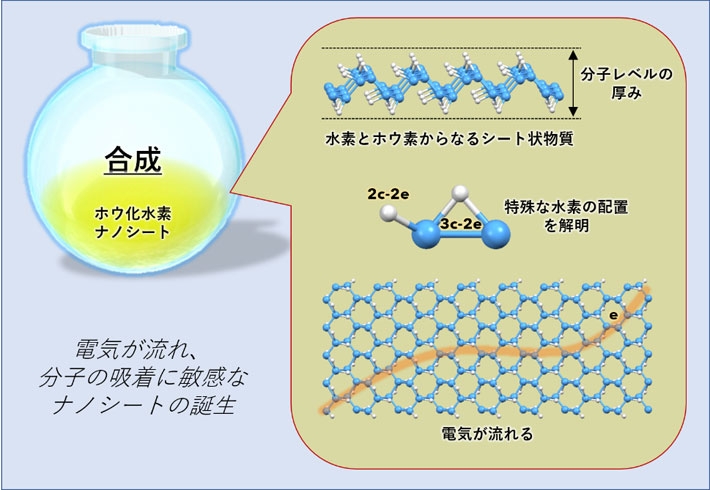 ホウ化水素ナノシートを化学的に合成。分子レベルの厚みのシート状物質で、特殊な水素の配置を有する。電気が流れ、その導電性は分子の吸着に敏感。