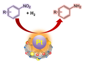 図4. 検討した触媒反応。R=Cl、OH、CN、CH=CH2、CHO、NH2CO