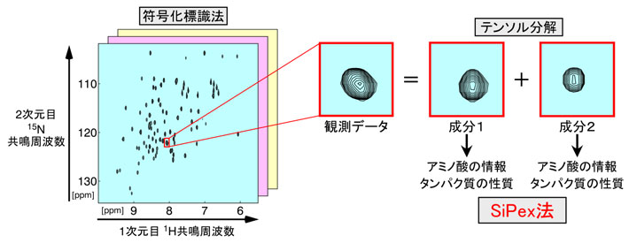 情報科学(符号化標識法)と数理科学(テンソル分解)を応用したSiPex法