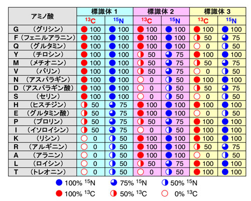 図1. 符号化標識法における安定同位体標識パターン(符号語表)の例