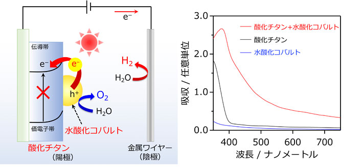 酸化チタンと水酸化コバルトからなる複合材料を用いた可視光照射下での光電気化学的水分解。酸化チタンのバンドギャップ(=伝導帯と価電子帯のエネルギー差)は大きいため400 nm以上の可視光を吸収できないが、水酸化コバルトから酸化チタンへの電子遷移が生じることで幅広い可視光の利用が可能となった。