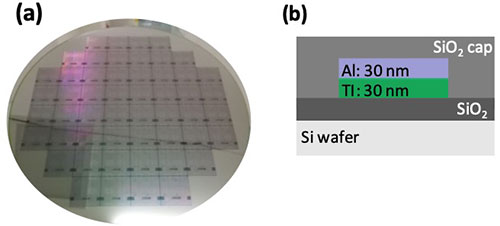 図1.TEG構造:(a)TEGウエハ、(b)配線構造