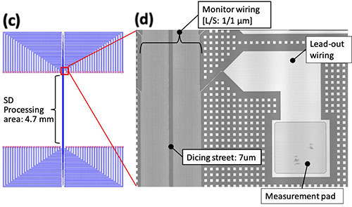 図1.TEG構造:(c)配線の拡大図、(d)配線の断面構造図